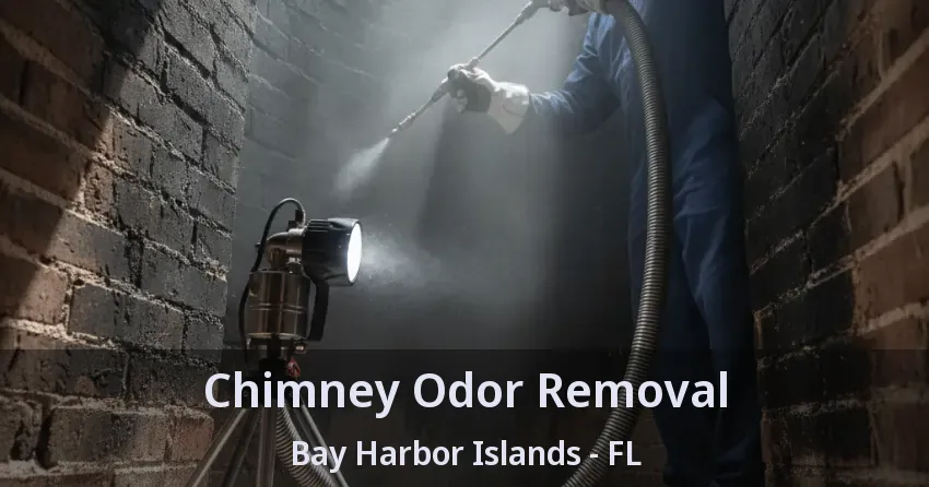 Chimney Odor Removal Bay Harbor Islands - FL