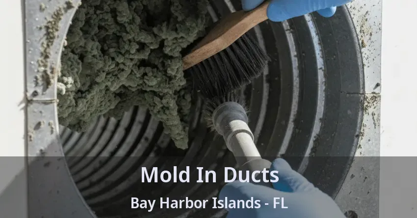 Mold In Ducts Bay Harbor Islands - FL